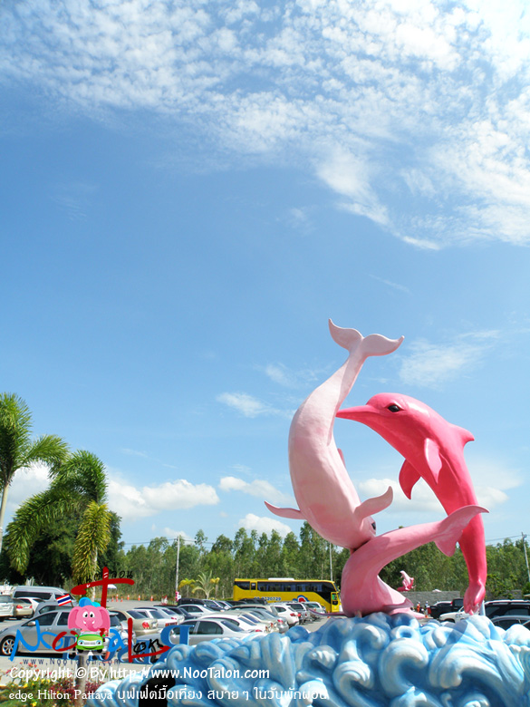 Թ Ҷ֧ѷҷ駷աͧǡѹ ҾѷҷշԴء Ҵѹ Pattaya Dolphin World & Resort (ٻҾ edge Hilton Pattaya ؿ§ ʺ ѹѡ͹ - ˹ٵ͹)