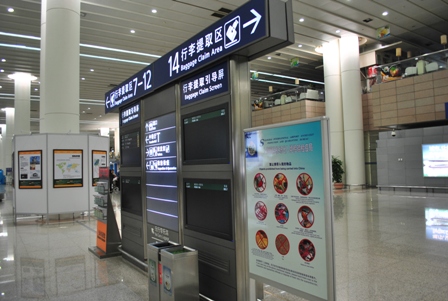 ֧ ҾҤâͧ airport shanghai